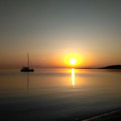 9 Musses ROOMS-studios