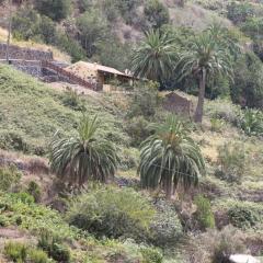 Casa Rural El Rincón de Antonia