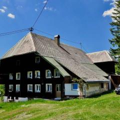 Echtes Schwarzwaldhaus - Traditionell & Modern