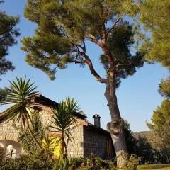 Villa Fior di Lavanda