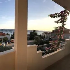 Apartment Ribicic