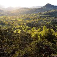 Aux Pays Des Sucs