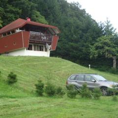 Chalet Contemporain Plein Nature