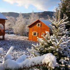 Domki KOLONIA LEŚNA z sauną i gorącą balią