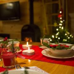 Domki KOLONIA LEŚNA z sauną i gorącą balią
