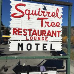 Squirrel Tree Resort