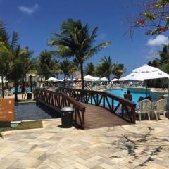 Beach Class Muro Alto - flat