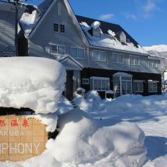 Natural Hot Spring Hakuba Symphony