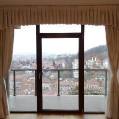 Grand View Apartment