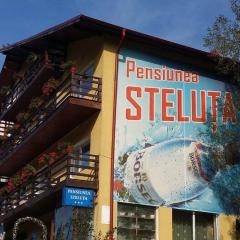 Pensiunea Steluta