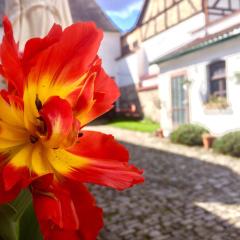 3 Seiten Ferienwohnung