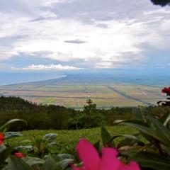 The Jerai Hill Resort