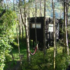 Lodge Punahue
