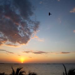 Apartamento con playa privada y piscina