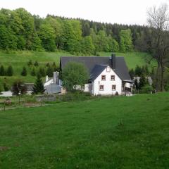 Die Oberlochmühle PENSION