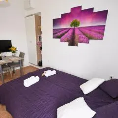 Studio apartman Kris