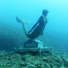 Il Paradiso Sul Mare