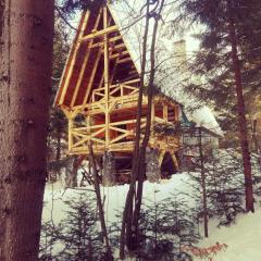 Ski Lake Cottage Krpáčovo