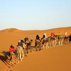 Sahara camel tours camp