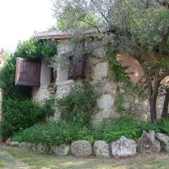 Malvarina