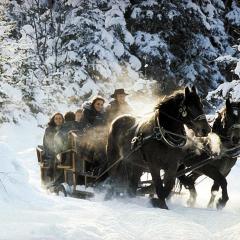 Ferienwohnung "Deluxe" in Korbach