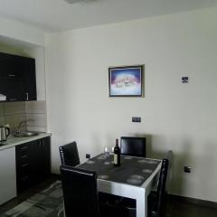 Apartment Penjisevic