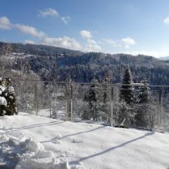 Apartament Widokowy Wisła