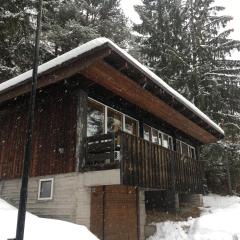 Villa Borca di Cadore