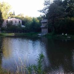 Cabañas Lagos Dos Molinos