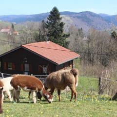 Chalet Les Bouleaux, la montagne des lamas