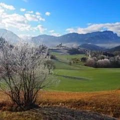 Ferienhof Unterführholzergut