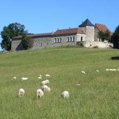 Nature et Piscine au sommet du Périgord