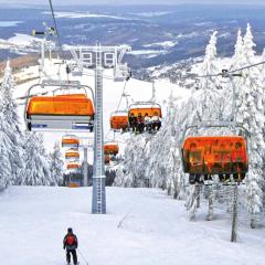 Dvůr Stráň & Wellness