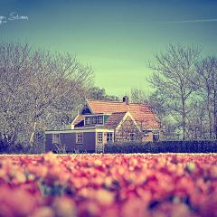 Bungalow Callantsoog