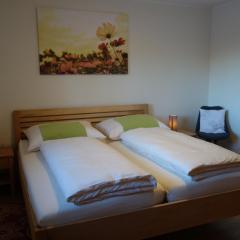 Apartment Steinkellner