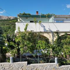 Apartments Polic with Terrace