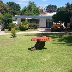 Alquiler zona centro