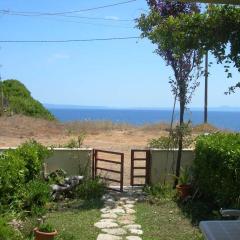 House in Front of the Sea