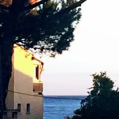 Le P’tit Littoral