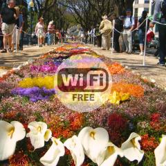 Central Suite in Funchal 2N