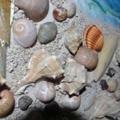 Seashell Art Decor Studio & Garage