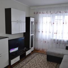 Apartment on Kniaziv Koriatovychiv 9