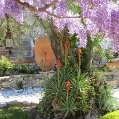 Colores en el Viento