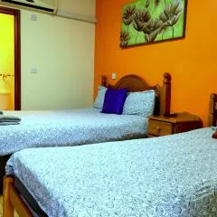 The Oasis Hotel
