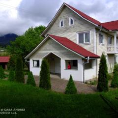 Casa Andrei Vatra Dornei