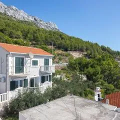 Apartments Djani