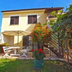 Apartments Slavko 1179