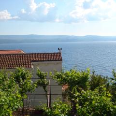 Apartmani Stanić Rosa
