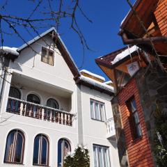 Sadyba Girske Povitria