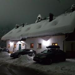 Apartmaji Koželj